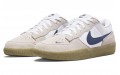 Nike SB Force 58