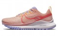 Nike Pegasus Trail 4