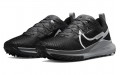 Nike Pegasus Trail 4