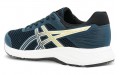 Asics Raiden 3