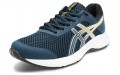 Asics Raiden 3