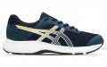 Asics Raiden 3