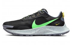 Nike Pegasus Trail 3