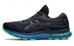 Asics GEL-Nimbus 24