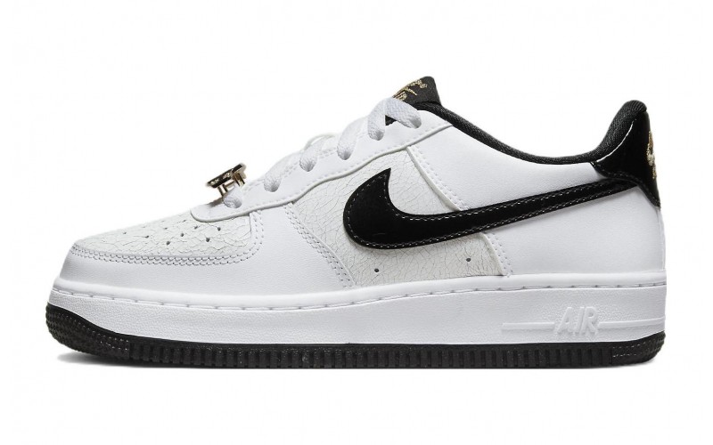 Nike Air Force 1 Low World Champions GS