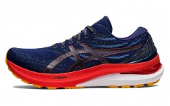 Asics GEL-KAYANO 29