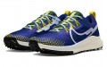 Nike Pegasus Trail 4 React