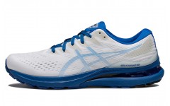 Asics Gel-Kayano 28