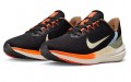 Nike Zoom Winflo 9