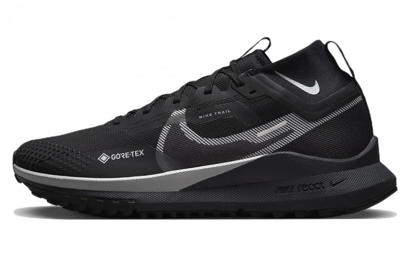 Nike Pegasus Trail 4 gore-tex