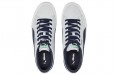 PUMA Suede Skate Nitro