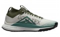 Nike Pegasus Trail 4 Gore-Tex