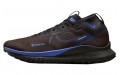 Nike Pegasus Trail 4 GORE-TEX