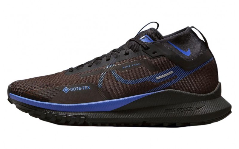 Nike Pegasus Trail 4 GORE-TEX