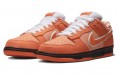 CONCEPTS x Nike Dunk SB "Orange Lobster"