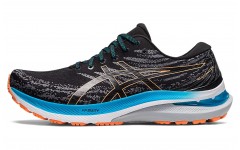 Asics GEL-KAYANO 29