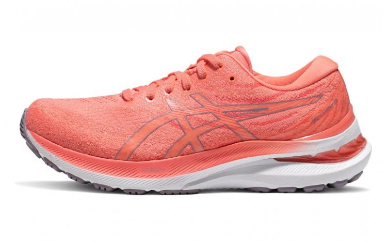 Asics GEL-KAYANO 29