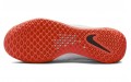 Nike Zoom Court NXT HC