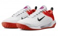 Nike Zoom Court NXT HC