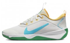 Nike Omni Multi-Court GS