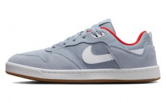 Nike SB Alleyoop