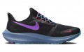 Nike Pegasus FlyEase SE