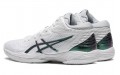 Asics Gel-Hoop V14