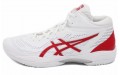 Asics Gel-Hoop V14