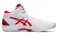 Asics Gel-Hoop V12