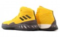 adidas Crazy Explosive