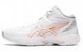 Asics Gel-Hoop V14