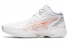 Asics Gel-Hoop V14