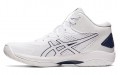 Asics Gel-Hoop V15