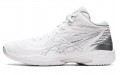 Asics Gel-Hoop V14 E