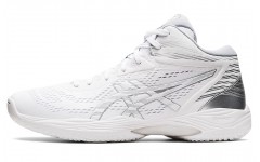 Asics Gel-Hoop V14 E