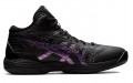 Asics Gel-Hoop V14