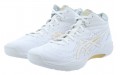 Asics Gel-Hoop V14 2E