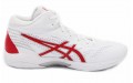 Asics Gel-Hoop V14