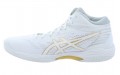 Asics Gel-Hoop V14 2E