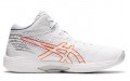 Asics Gel-Hoop V14