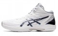 Asics Gel-Hoop V14