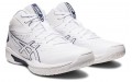 Asics Gel-Hoop V15