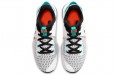 Nike Witness 5 LeBron EP