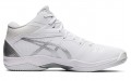 Asics Gel-Hoop V12