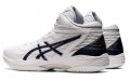 Asics Gel-Hoop V14