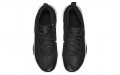 Nike Witness 2 Lebron EP