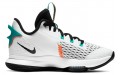 Nike Witness 5 LeBron EP