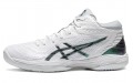 Asics Gel-Hoop V14