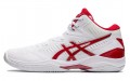 Asics Gel-Hoop V12