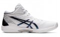 Asics Gel-Hoop V14